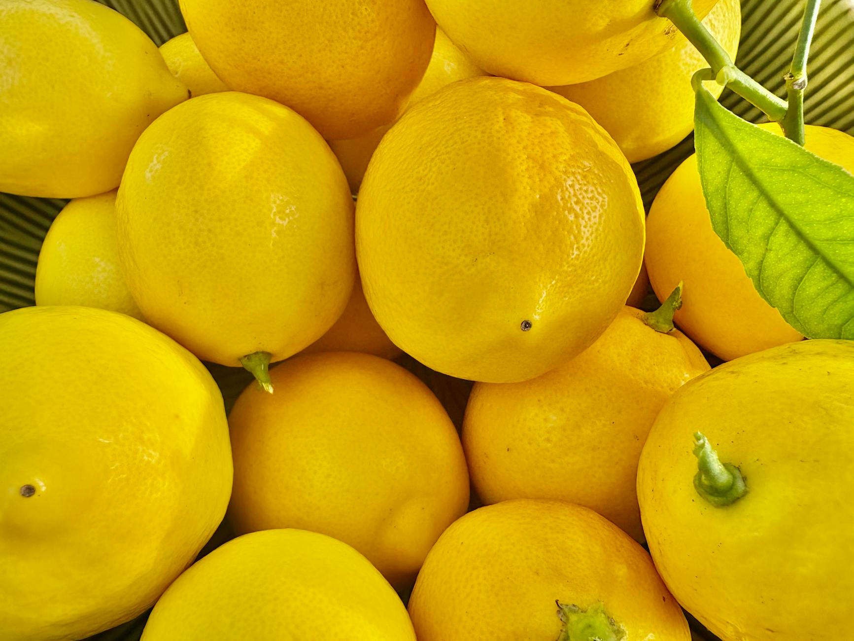 lemon squeezy