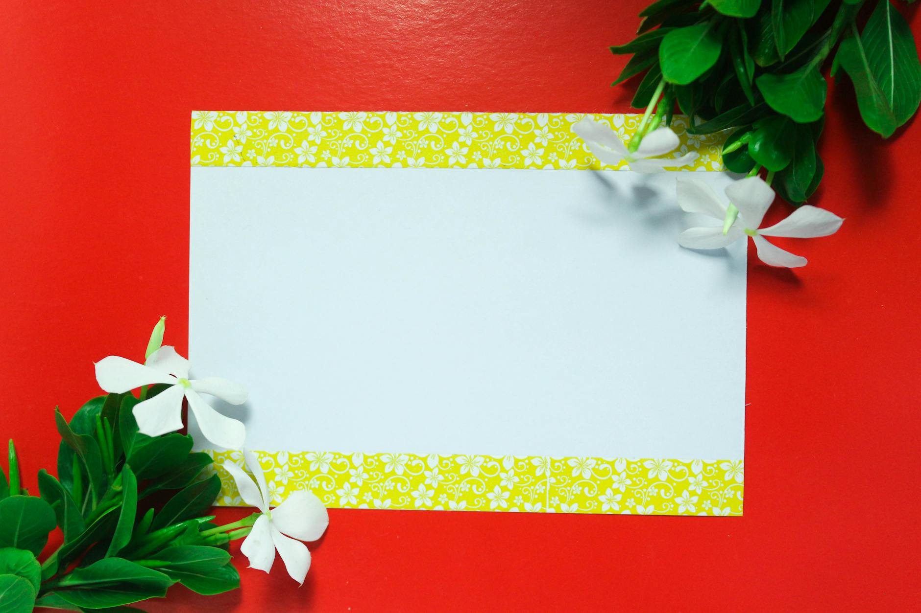 header footer